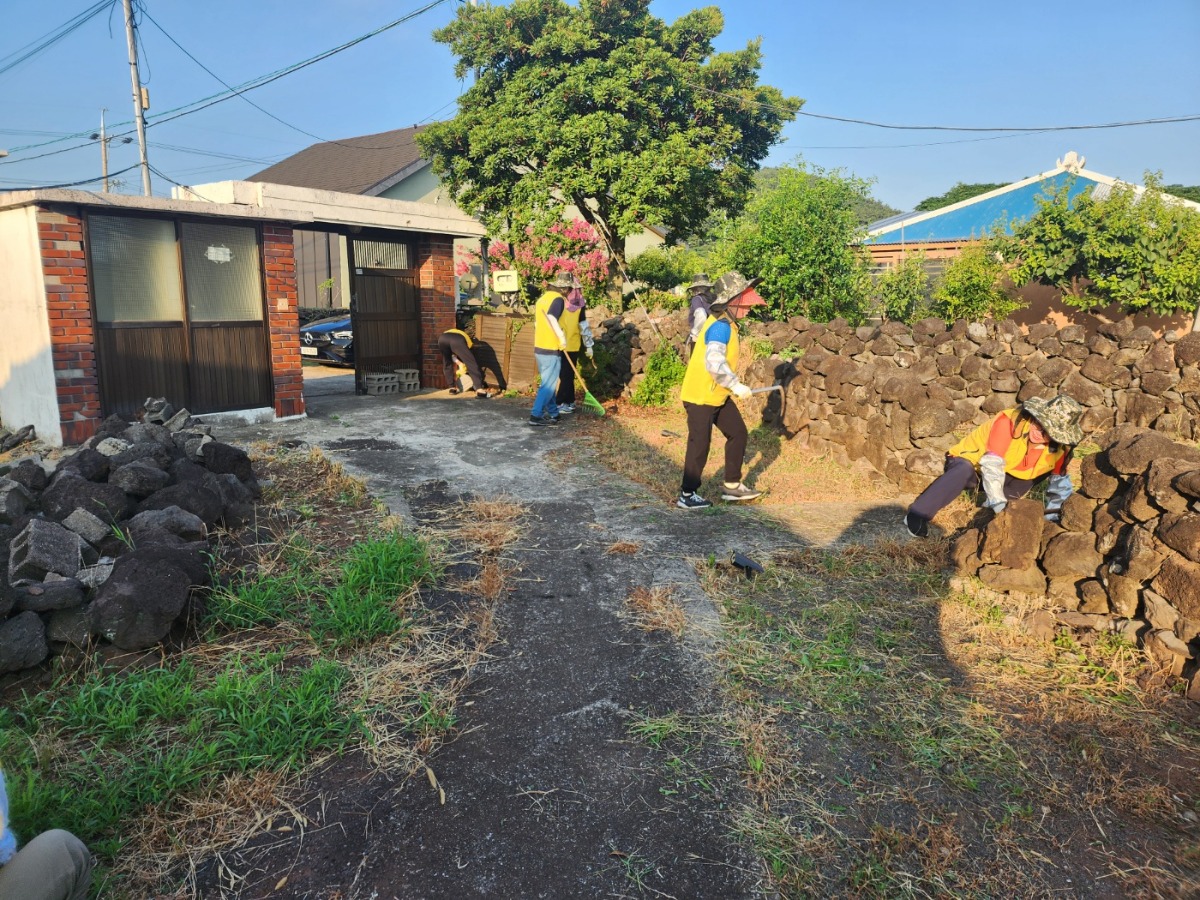 250802 애월읍 봉사활동(2)
